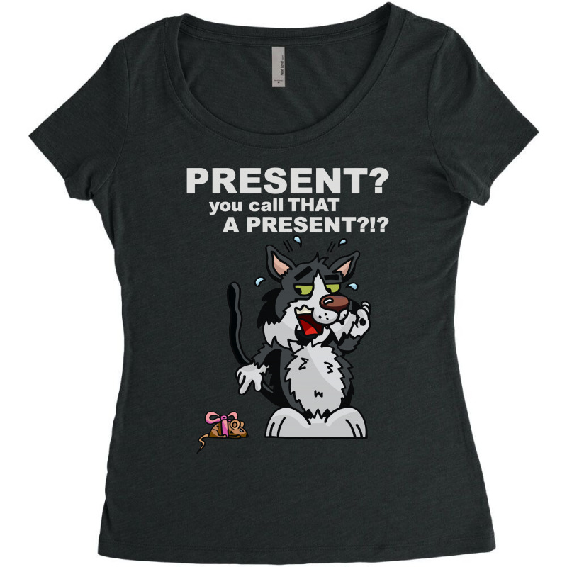 Anxious Cat Women's Triblend Scoop T-shirt | Artistshot