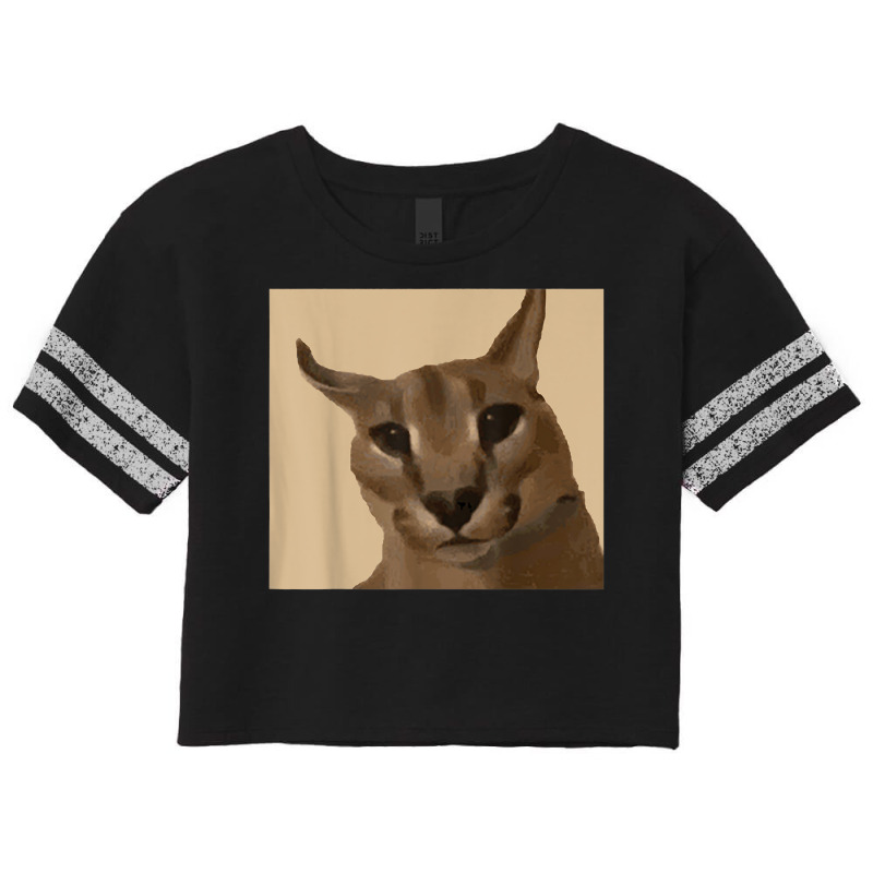 Custom Funny Big Floopa Dank Meme Cat Funny Unisex T Shirt