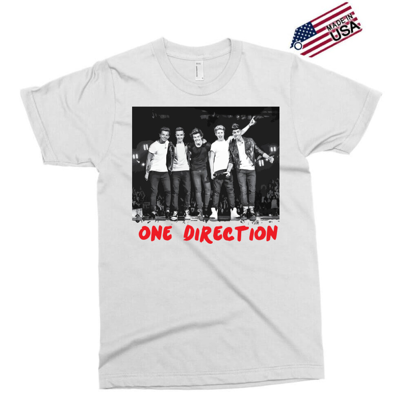 New One Direction Concert 03 Exclusive T-shirt | Artistshot