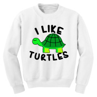 I Like Turtles Tortoise Sea Animal Youth Sweatshirt | Artistshot