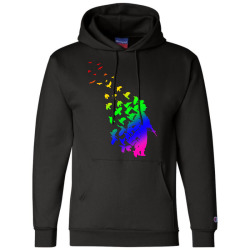 champion hoodie rainbow