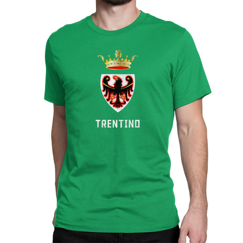 Trentino, Italy Region Flag Design Classic T-shirt | Artistshot