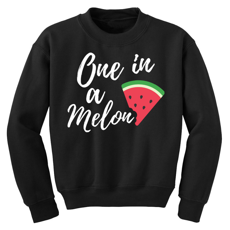 One In A Melon T  Shirt Someone Special Gift   One In A Melon Funny Wa Youth Sweatshirt | Artistshot