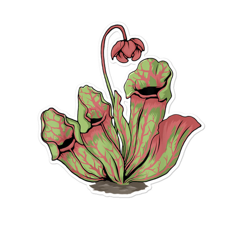 Northern Pitcher Plant Tshirt Carnivorous Plants Sarracenia T Shirt Sticker | Artistshot