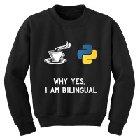 Funny Python Java Programmer  Bilingual Coder Gift Tee Youth Sweatshirt | Artistshot