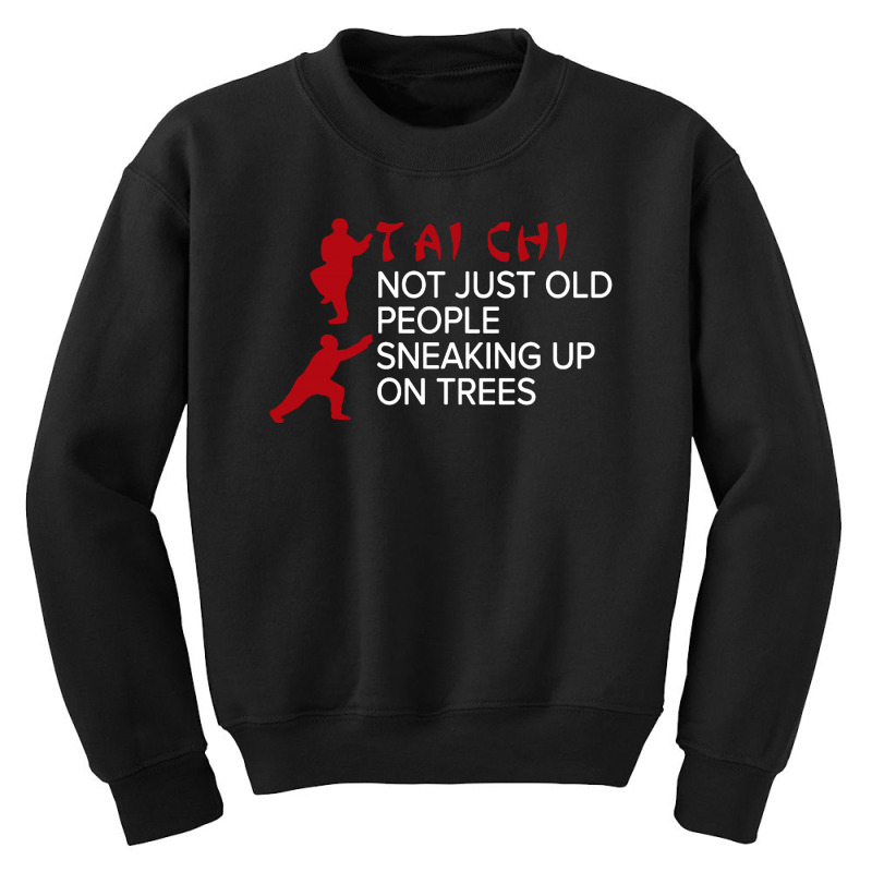 Tai Chi Youth Sweatshirt by Just4You | Artistshot