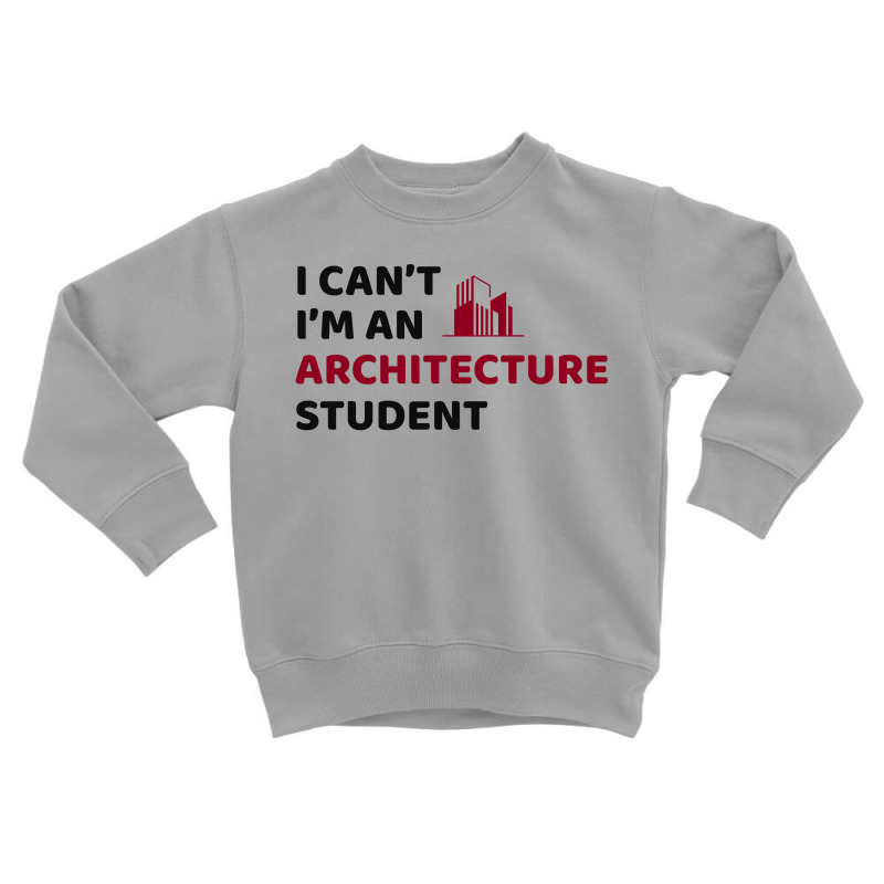 Architect Architecture Student Architectural Funny Toddler Sweatshirt | Artistshot