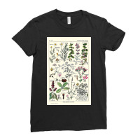 Digestive Plants  Adolphe Millot Ladies Fitted T-shirt | Artistshot