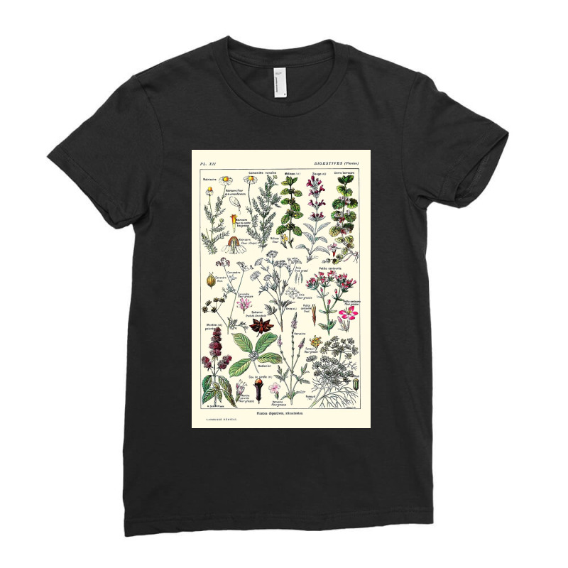 Digestive Plants  Adolphe Millot Ladies Fitted T-Shirt by halseymaria | Artistshot