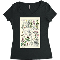 Digestive Plants  Adolphe Millot Women's Triblend Scoop T-shirt | Artistshot