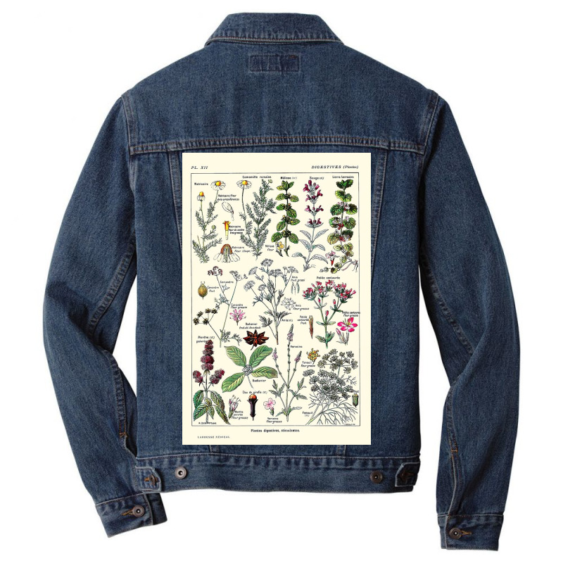 Digestive Plants  Adolphe Millot Men Denim Jacket by halseymaria | Artistshot