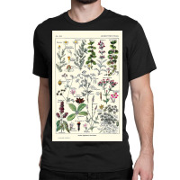 Digestive Plants  Adolphe Millot Classic T-shirt | Artistshot