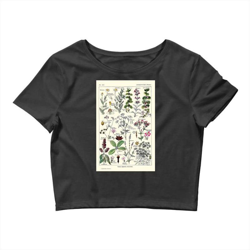 Digestive Plants  Adolphe Millot Crop Top by halseymaria | Artistshot