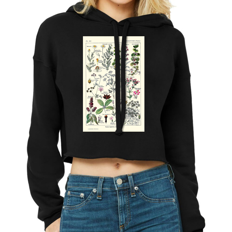 Digestive Plants  Adolphe Millot Cropped Hoodie by halseymaria | Artistshot