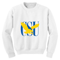 Coppin State Youth Sweatshirt | Artistshot