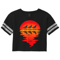 Flocks Of Seagull Vintage Sunset Seabird Harbour Albatros Scorecard Crop Tee | Artistshot