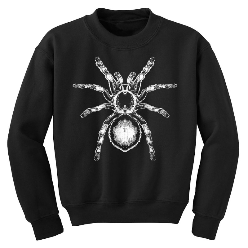 Tarantula Huge Spider Phobia Halloween Costume Arachnophobia T Shirt Youth Sweatshirt | Artistshot