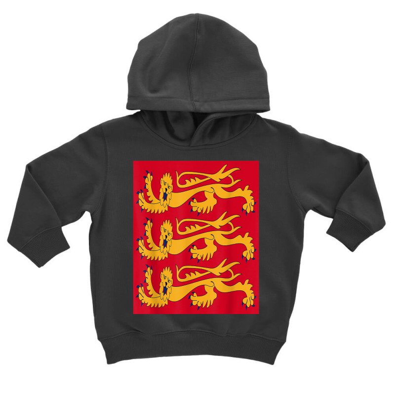 House Of Plantagenet T Shirt Angevin Empire Lancaster York Toddler Hoodie | Artistshot