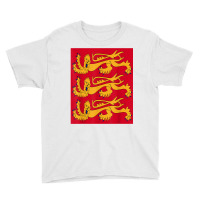 House Of Plantagenet T Shirt Angevin Empire Lancaster York Youth Tee | Artistshot