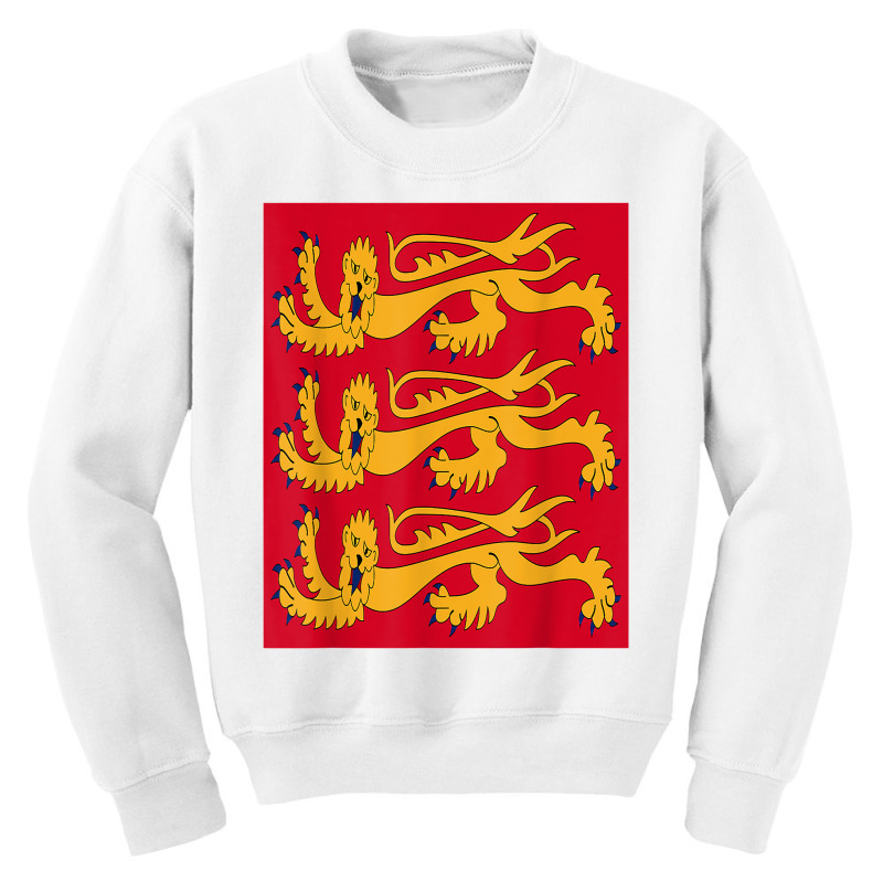 House Of Plantagenet T Shirt Angevin Empire Lancaster York Youth Sweatshirt | Artistshot