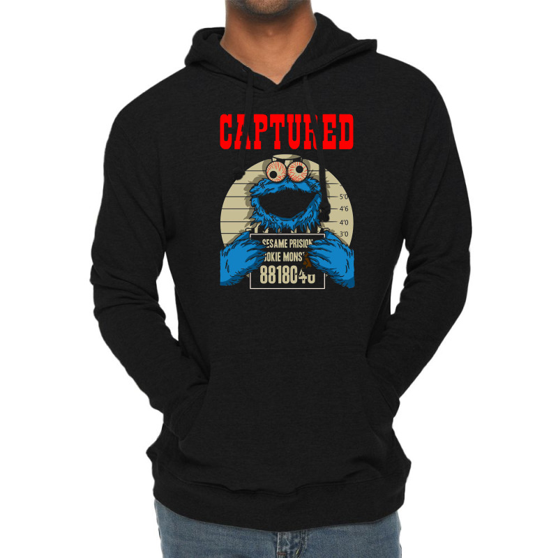 Captured Lightweight Hoodie | Artistshot