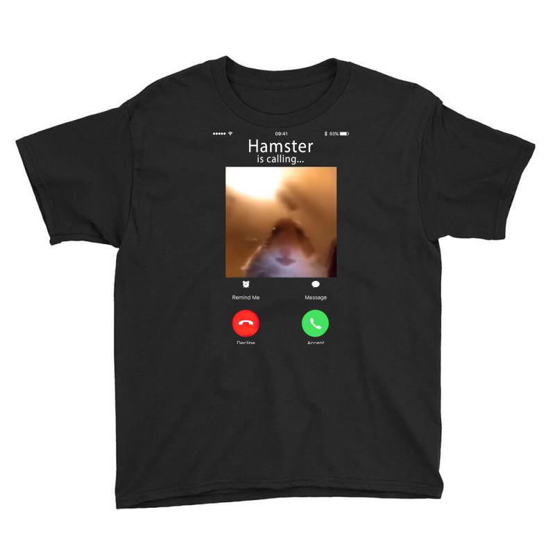 Dank Meme Hamster Staring Front Camera Hamster Calling Gift T Shirt Youth Tee by HUUY | Artistshot