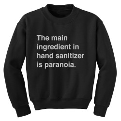 the main ingredient in hand sanitizer1 01 Youth Sweatshirt | Artistshot