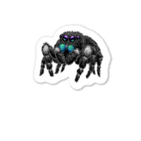 Daring Bold Jumping Spider Phidippus Audax Cute Arachnid T Shirt Sticker | Artistshot