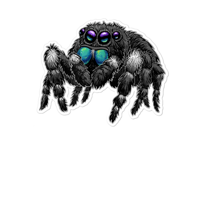 Daring Bold Jumping Spider Phidippus Audax Cute Arachnid T Shirt Sticker | Artistshot