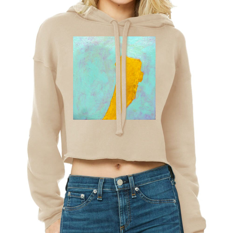 Abstract 2008 Cropped Hoodie by Donald | Artistshot