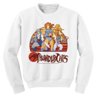 Thundercats Group Retro Sunset Pullover Hoodie Youth Sweatshirt | Artistshot