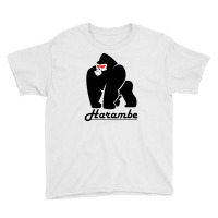 Harambe Youth Tee | Artistshot