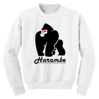 Harambe Youth Sweatshirt | Artistshot