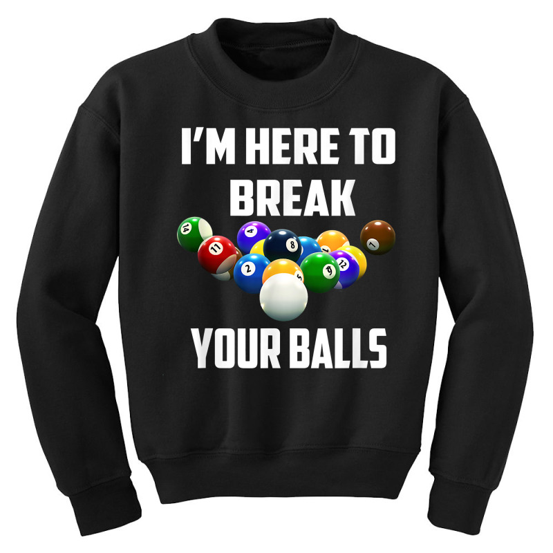 I'm Here To Break Your Balls Pool Funny Billiards Men Women T Shirt Youth Sweatshirt | Artistshot