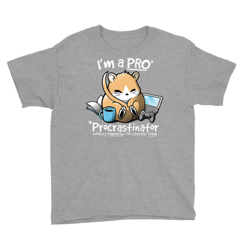 Dormouse Is A Pro Youth Tee by kyle678 | Artistshot