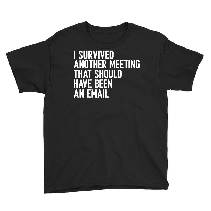 I Survived Another Meeting That Should Have Been An Email 01 Youth Tee | Artistshot