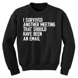 i survived another meeting that should have been an email 01 Youth Sweatshirt | Artistshot