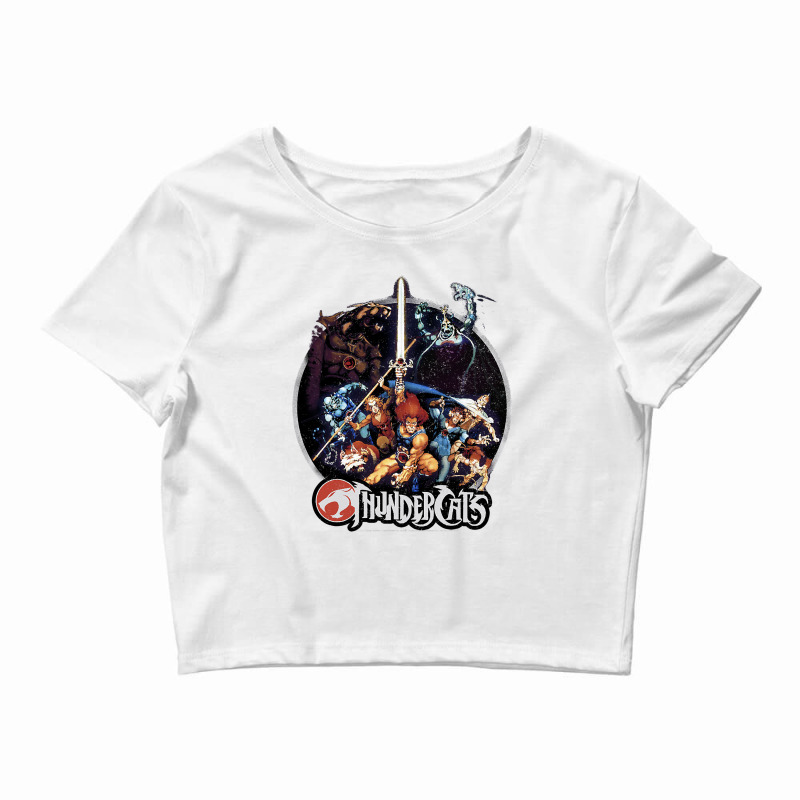 Thundercats Group Shot Vintage Circle T Shirt Crop Top by HUUY | Artistshot