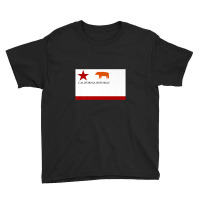 California Republic Todd's Bear Flag Of 1846 Usa Youth Tee | Artistshot