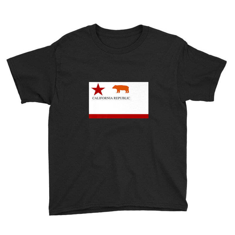 California Republic Todd's Bear Flag Of 1846 Usa Youth Tee by celanasubek | Artistshot