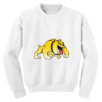 Bowie State Bulldogs Youth Sweatshirt | Artistshot