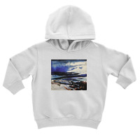 Andrew Wyeth Coming Storm Toddler Hoodie | Artistshot