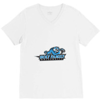 Holy Family University Tigers V-neck Tee | Artistshot