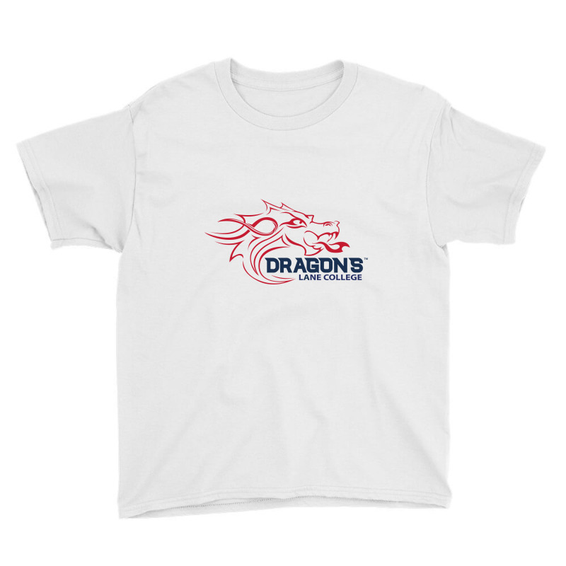 Lane College Dragons Youth Tee by Ellard grey | Artistshot