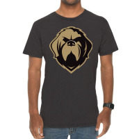 The Newfoundland Growlers Hockey Vintage T-shirt | Artistshot