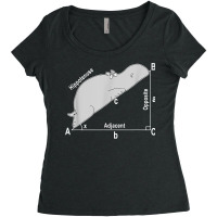 Hippo Math Analytical Funny Sarcasm Humor Teacher T Shirt Women's Triblend Scoop T-shirt | Artistshot