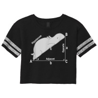 Hippo Math Analytical Funny Sarcasm Humor Teacher T Shirt Scorecard Crop Tee | Artistshot