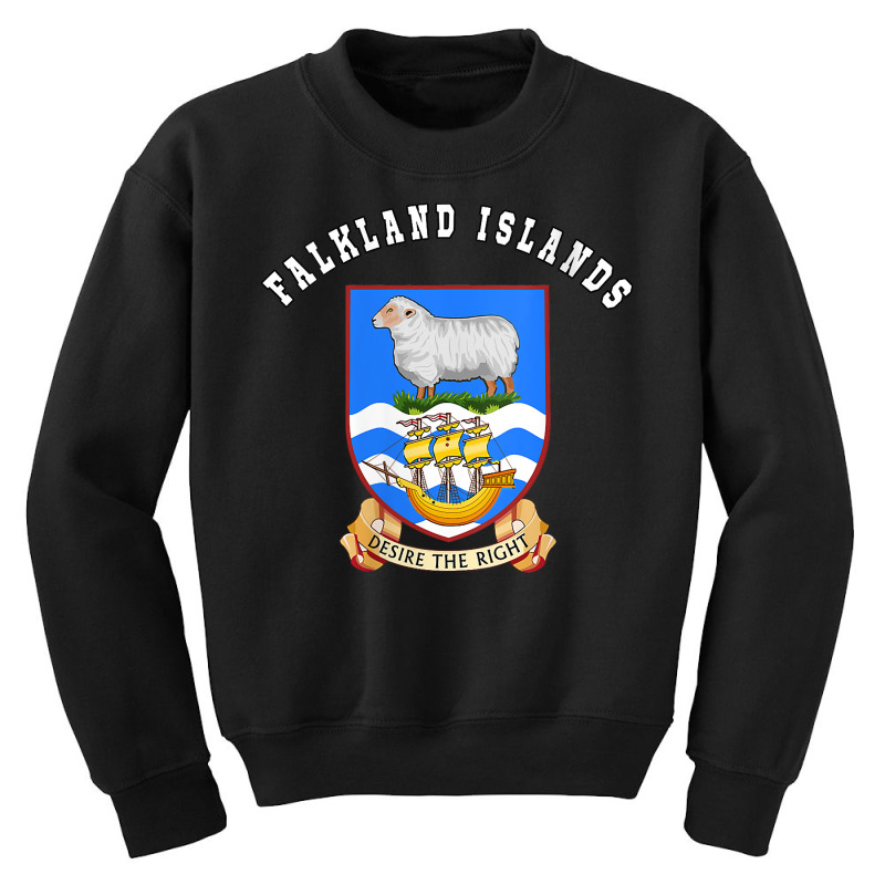 Womens Falkland Islands T Shirt Coat Of Arms Tee Flag Souvenir V Neck Youth Sweatshirt by malyahdepetris | Artistshot