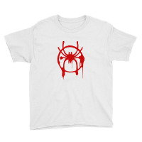 Miles Morales Spider Spray Paint Youth Tee | Artistshot