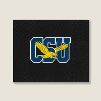 Cool,coppin,state,eagles Landscape Canvas Print | Artistshot